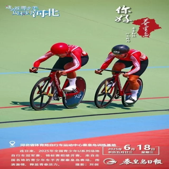 从数据视角解读乒乓球冠军竞争格局的变化